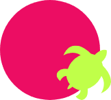 turtle-img